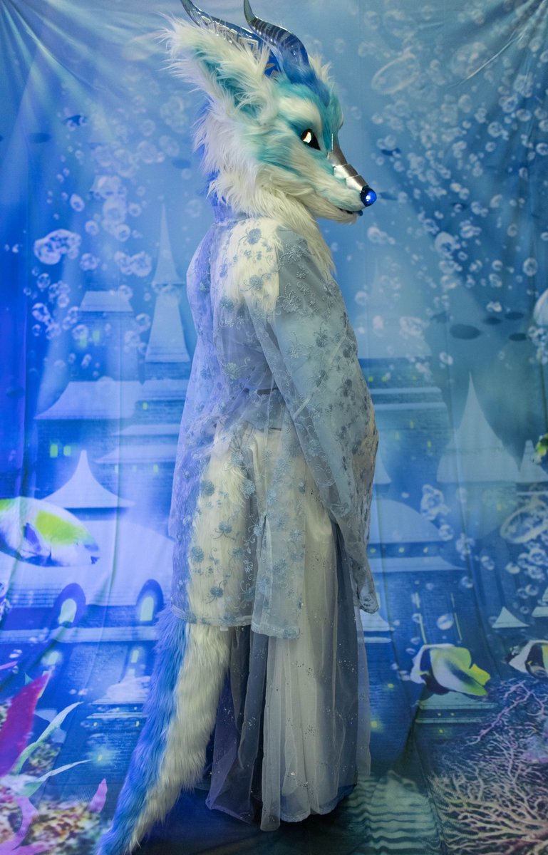 OrionWolver's tweet image. 極光
吉娃娃光