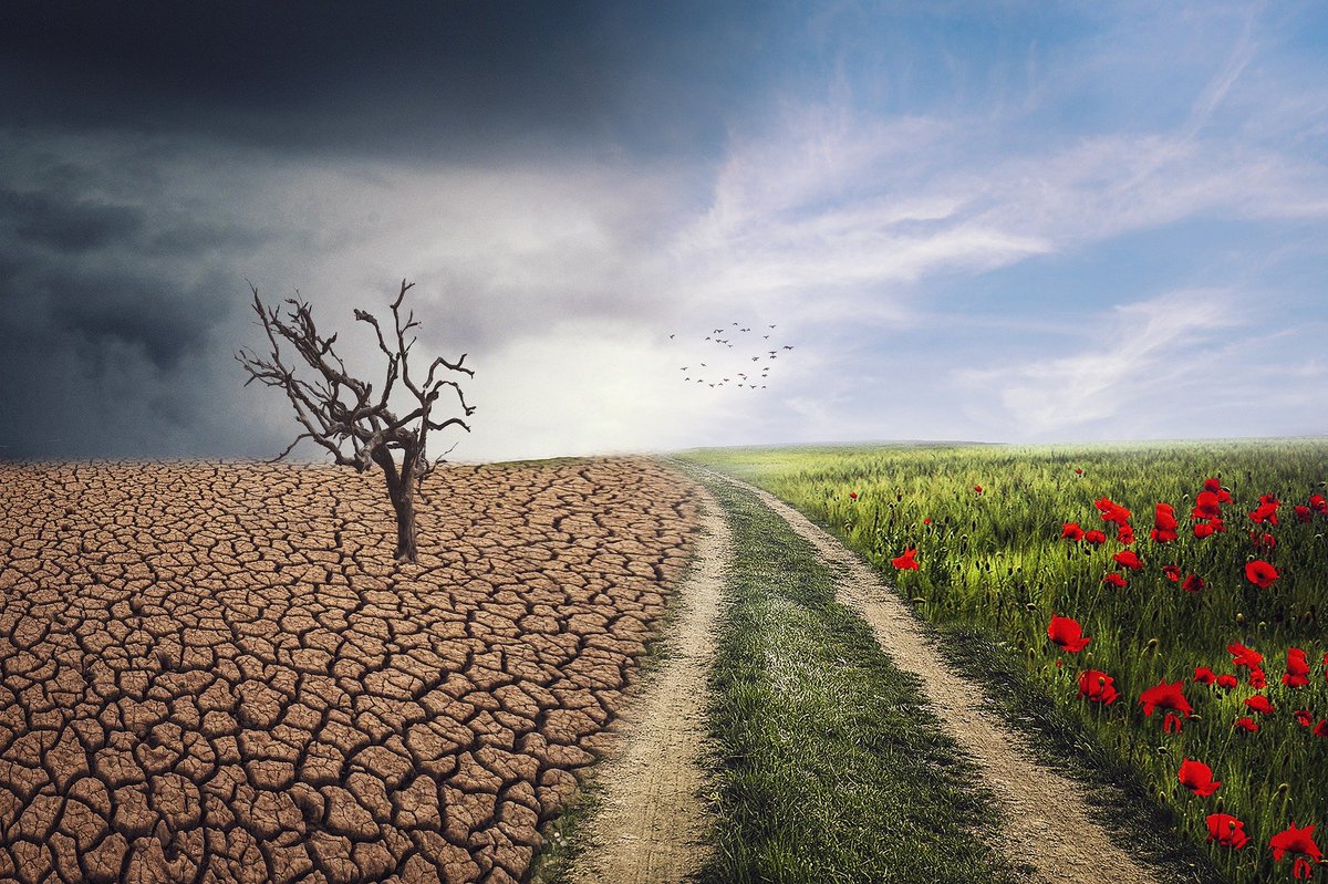 TheKirkpatricks's tweet photo. Looking for ways to thrive in the new all-virtual training world? Don’t miss the newest Kirkpatrick free webinar on August 27

https://t.co/8X4j8oDeMd

#TheNewWroldModel #kirkpatrick #evaluation #effectiveness #training #KirkpatrickModel #FREE #webinar https://t.co/XMFZAw3XP4