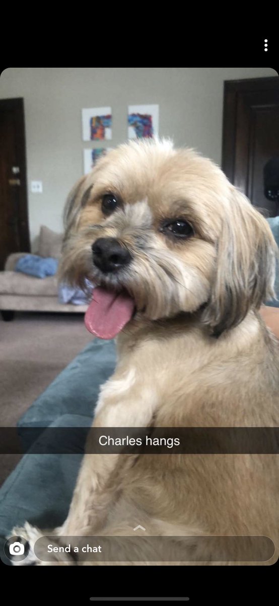 saraconcheck's tweet photo. Charlie Day 😍 https://t.co/UyOOlvT1HN
