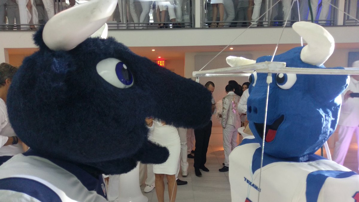 TexansTORO1's tweet photo. It’s official. Everything really is cake. https://t.co/NoKPr5l7Jy