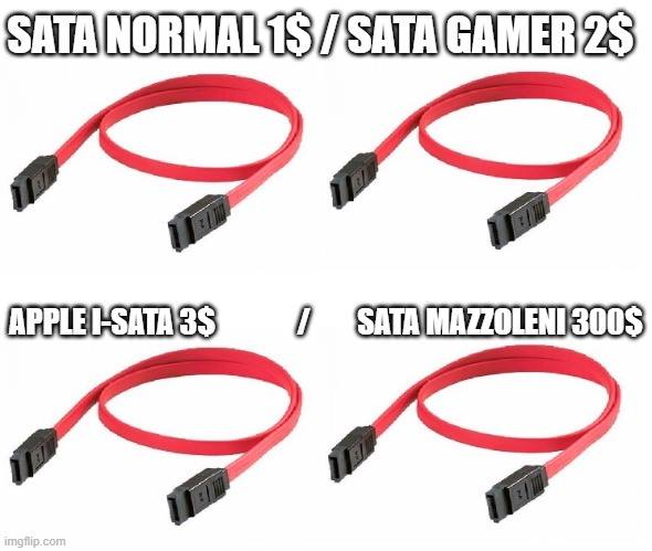 DelioDFK's tweet image. 