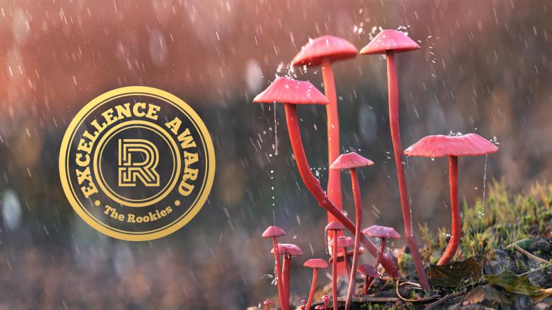Nad_Alves's tweet photo. 4️⃣ Bravo à Alexandre Lefebvre, en dernière année de Mastère Animation @ecvfrance #Bordeaux qui vient de remporter un "Excellence Award" dans le cadre de la 10ème édition de #TheRookiesAwards 2020 🏅
👁🗨Découvrez son travail ici 👉🏼 https://t.co/0WgWFDovG5
#ecvfrance #ecvanimation https://t.co/EoeuFvk4hU