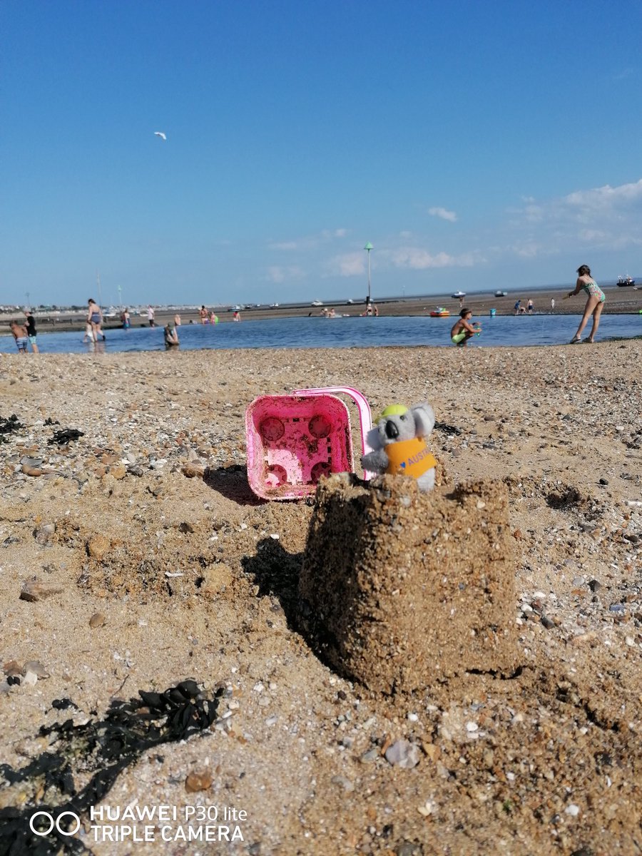 Clare Thompson tweet media