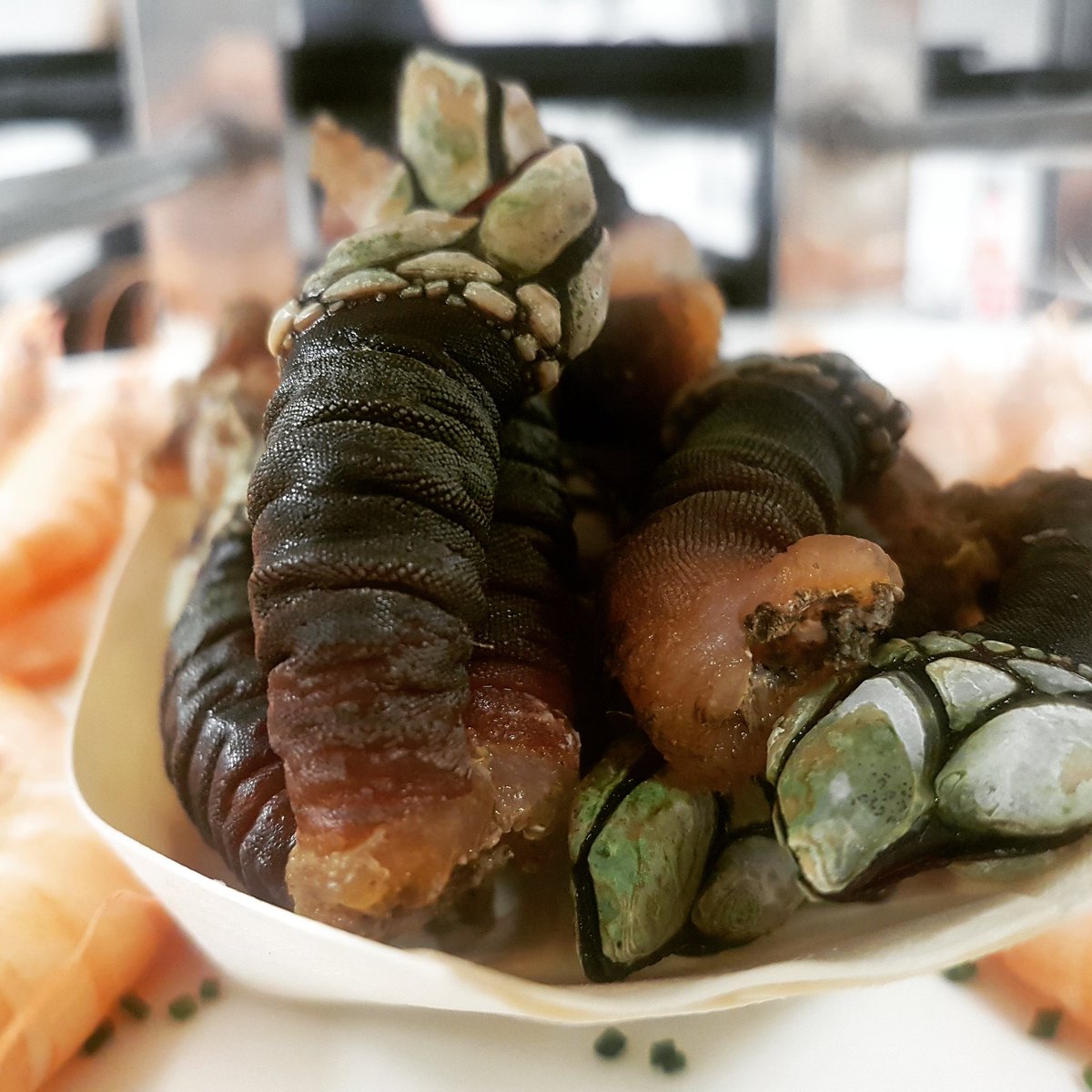 PicoRestaurante's tweet photo. ¿Os suenan estos crustáceos? En el Pico Pico los tenemos (por encargo).  Su nombre científico es pollicipes pollicipes. ¿Vosotros como los llamáis? 
Nos gusta la definición "golpe de mar en la boca". Son un lujo para el paladar, protagonistas de una pesca artesanal y heroica. https://t.co/q1MBQxIoyI