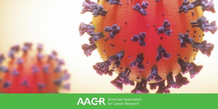 AACR's tweet photo. Special #AACRSSP benefit: Patient advocates who have participated in the AACR's Scientist<->Survivor Program are eligible for free registration for the AACR virtual meeting on #COVID19 and Cancer, July 20-22. Email advocacy@aacr.org by noon ET Sat 7/18 for details. #AACRCovid https://t.co/DXM1JvWeg6