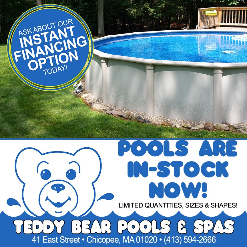 teddy bear pool