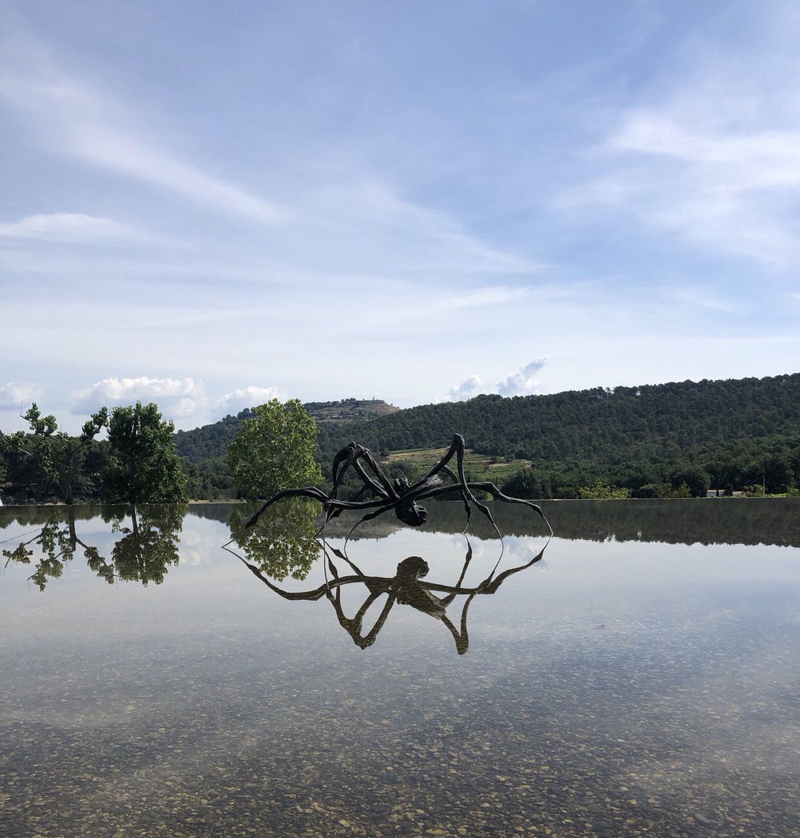 benoistart's tweet photo. Château La Coste❤️ #LouiseBourgeois #CrouchingSpider #Art #painting #ArtLovers #artshare #sculpture #Provence ❤️💁♀️ https://t.co/Zu4dUDowlB