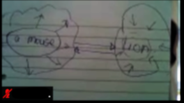 Rory Allott tweet media