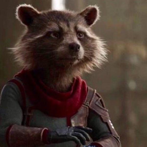 This is art 🙃

#RocketRaccoon