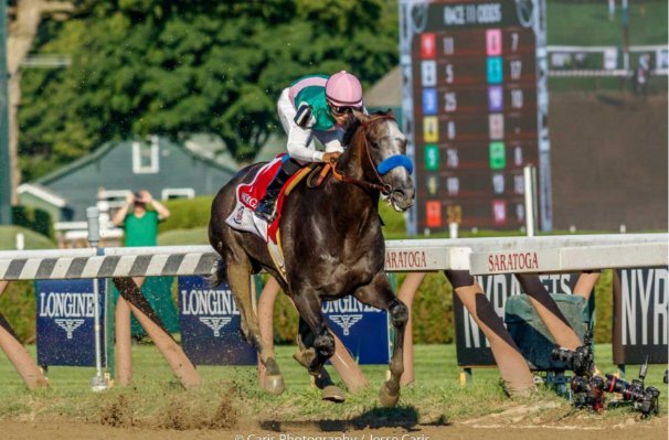 SureThingOscar's tweet photo. Best horse I ever saw -- Arrogate. Shown winning the Travers. Paid $25.40! Belated thanks PEB! https://t.co/b9oAYP4K0W