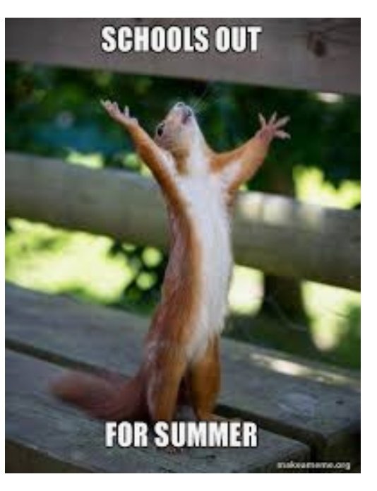MrsA-Y2 tweet media