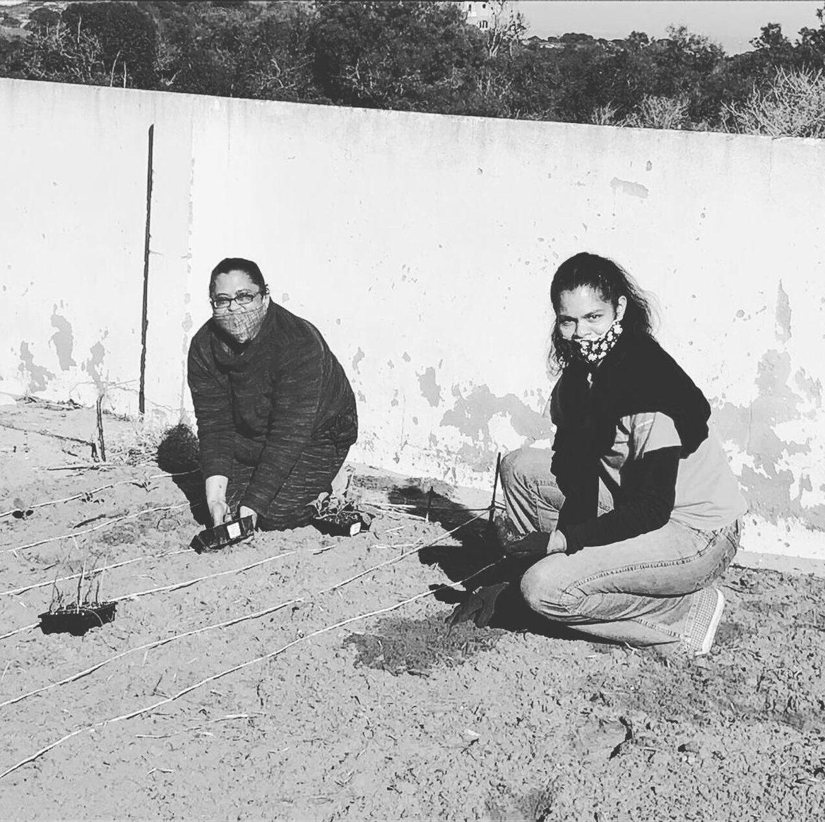 creationwines's tweet photo. We did part of our #67minutes for #madibaday today at Franklin Ohana Sustainability garden &amp; will be there finishing tomorrow. Stay tuned &amp; see the transformation! 

Be part of this great project: https://t.co/DyXn8UAfKo

#lovecreationwines #creationcares #MandelaDay #community https://t.co/pXuaS3RNHa