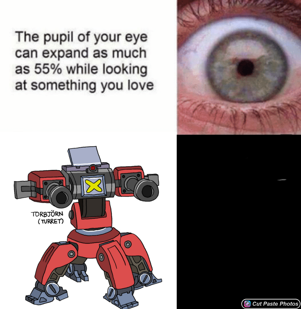 TurretSimp's tweet image. She gets more beautiful everyday