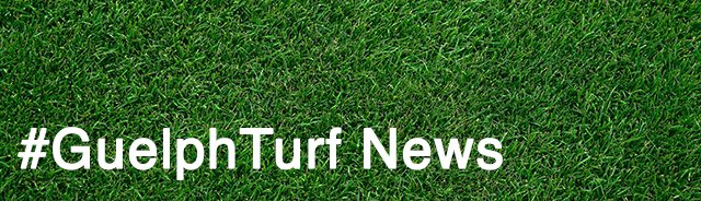 #GuelphTurf News &amp; Updates - July 2020 - mailchi.mp/c2ca532014df/g…