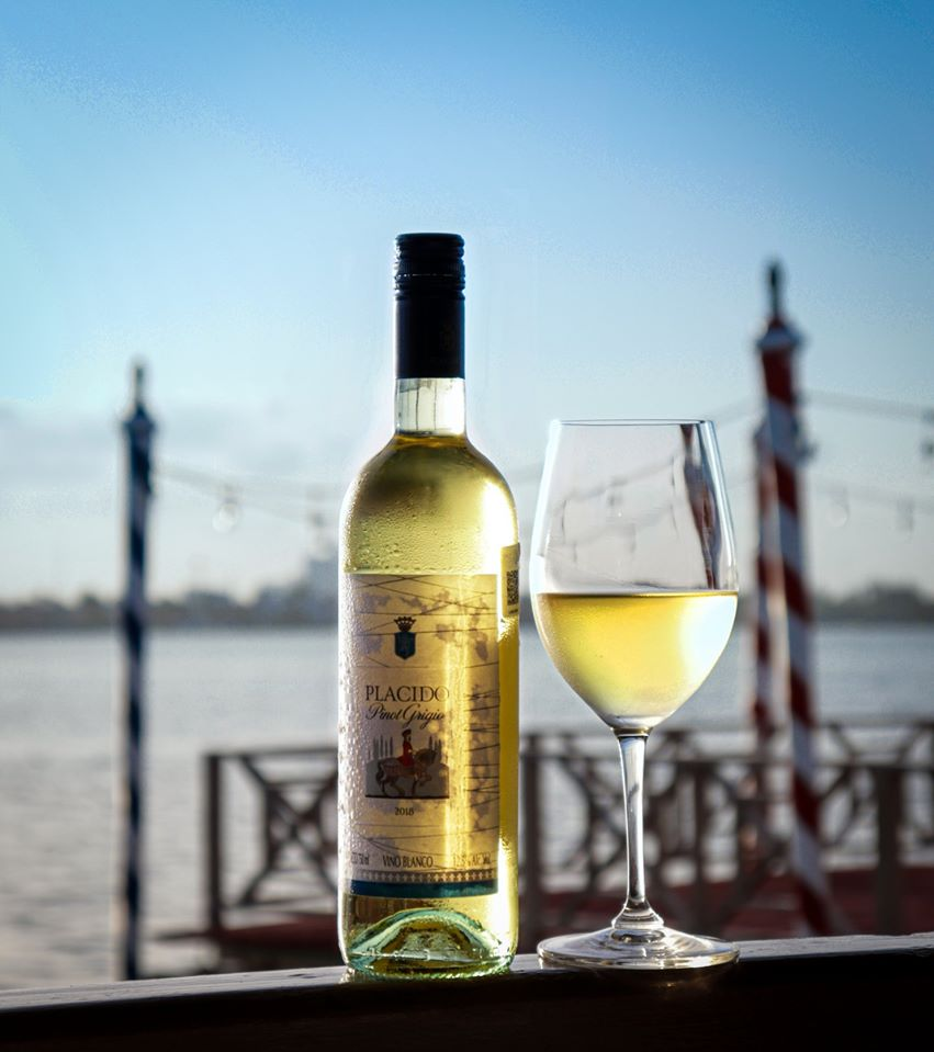 Limoncello_Cun's tweet photo. "Are you a white wine lover? We present you one of the house favorites ... our Placido #PinotGrigio!
Region: Northern Italy, Tuscany
Characteristics: Full, fresh and lively taste, with notes of ripe pear at the end.
Ideal to taste this #Friday with a wonderful view!

#BuenViernes https://t.co/Jsm9dzMFHA
