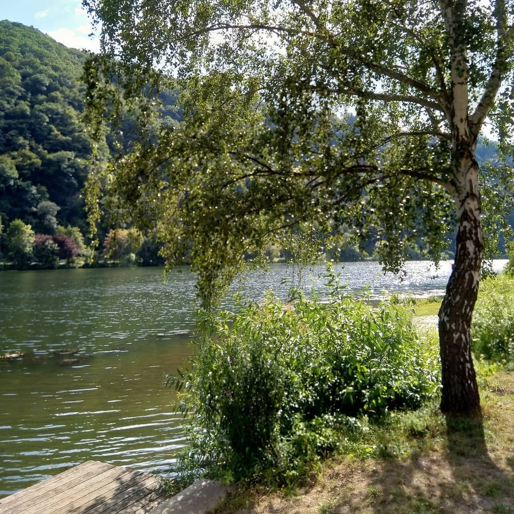 texjoachim's tweet image. #randomplaces instagr.am/p/CCv6Iqtnoqs/