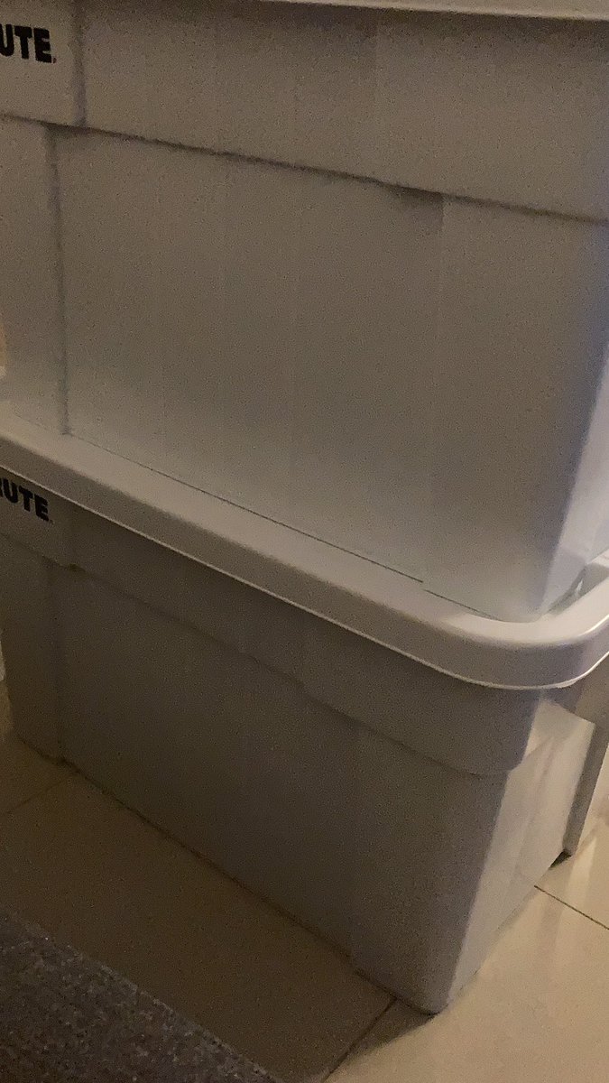 eloinvvd's tweet image. 