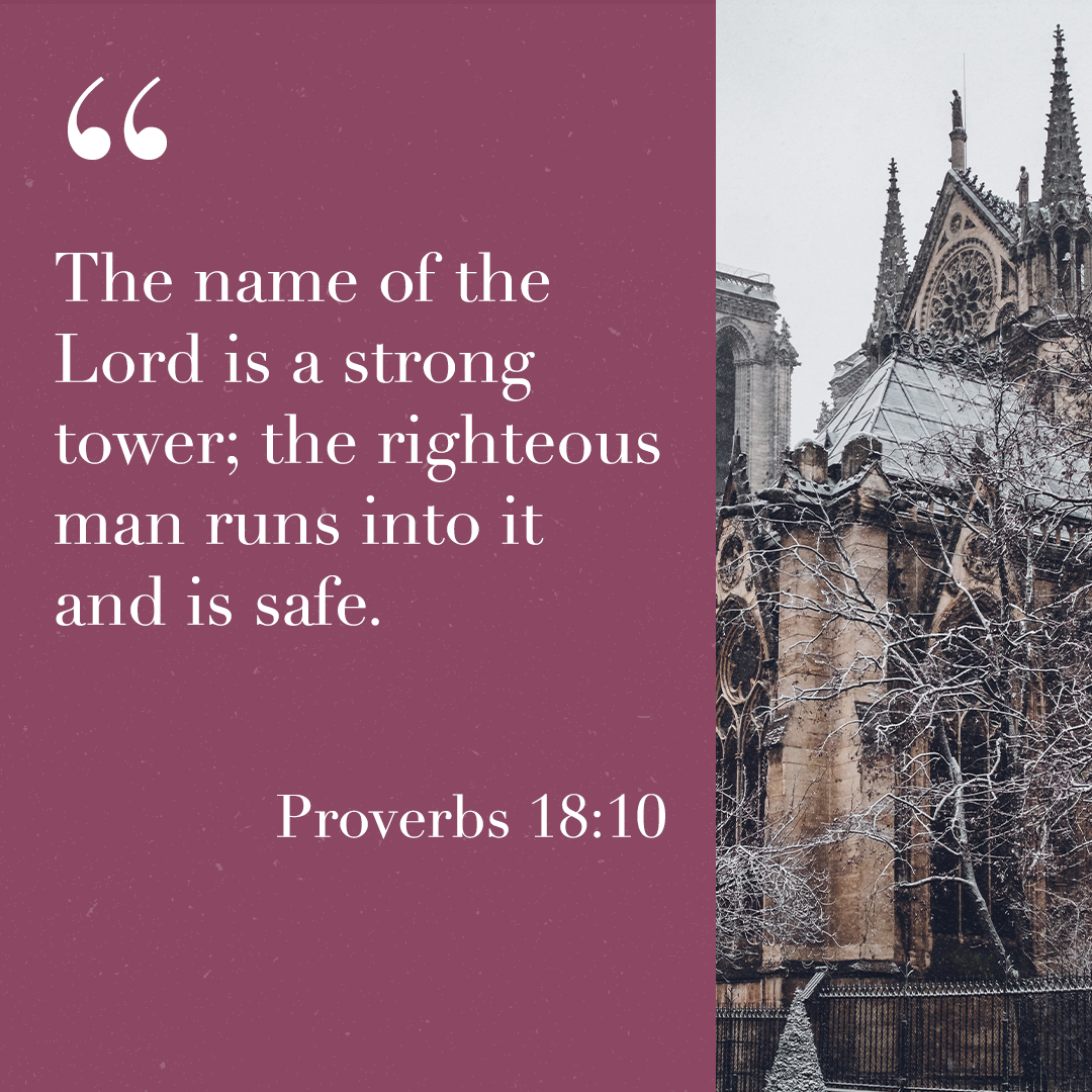 ProverbsDailyig's tweet photo. Take refuge in Christ. He is a trustworthy advocate in times of trouble. #Isaiah18v10 https://t.co/EgjP16KChO