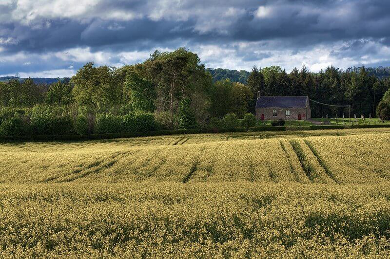 _Fotographee's tweet photo. Photography, be it landscape or portrait, is a visual art form.
Read more ๐ https://t.co/JEPCnltcCD
#Photography #vision #photographtutorial https://t.co/AQoGFPxtkn
