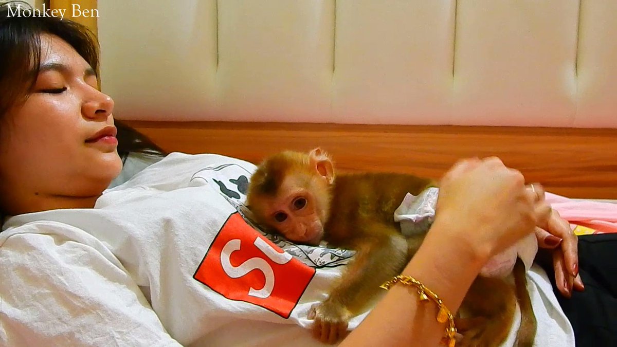 MonkeyBen3 tweet picture