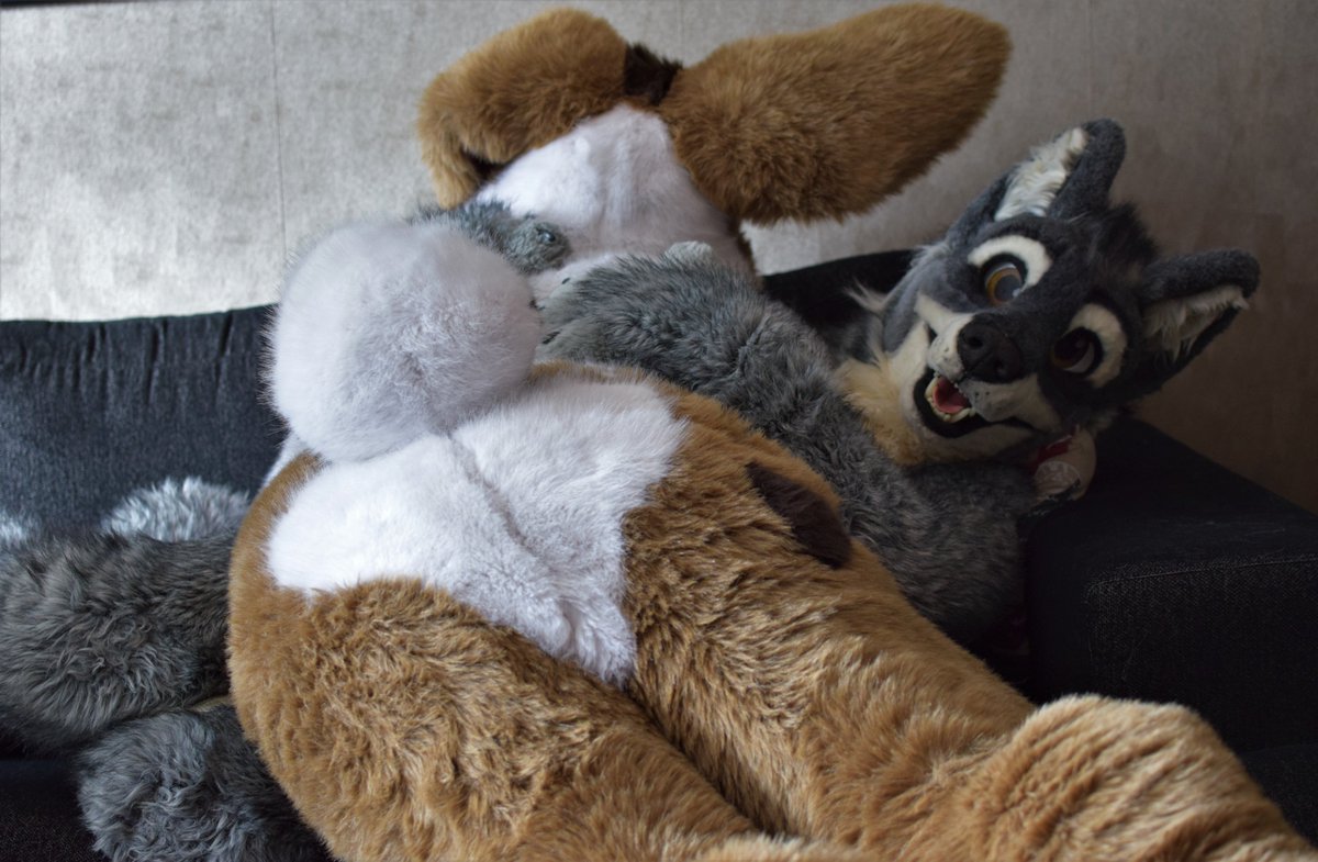 Bunny butt sighted while cuddling a <a href="/HasselW/">Hassel</a> 
#FursuitFriday  

📸@WolfSwea