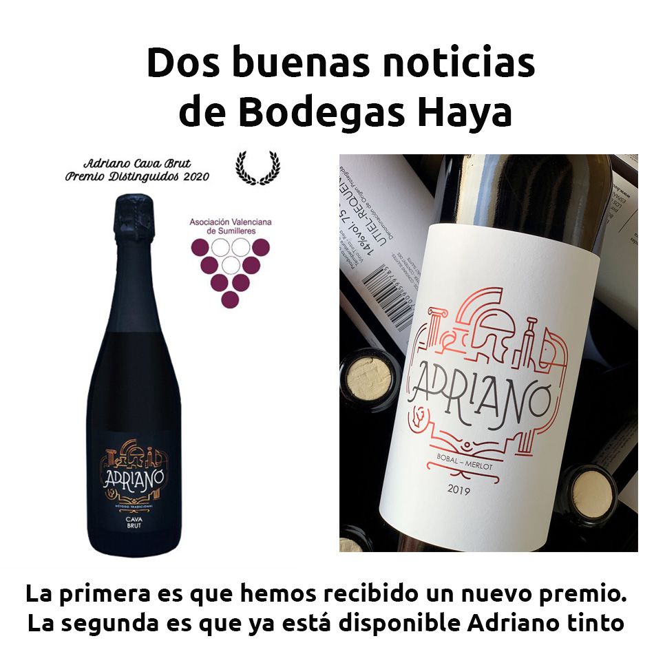 hosteleriaenvlc's tweet photo. DOS BUENAS NOTICIAS DE BODEGAS HAYA

https://t.co/U0h19ySdPn

@bodegashaya #BodegasHaya #HosteleriaEnValencia #PremiosDistinguidos2020 #ASVASU #AdrianoBrut2018 #AdrianoTinto #Barrica #Temperaturas #Lluvia #BajaProduccion #Vermouth  #VinoBlanco #VintoTinto #VinoRosado #Vina https://t.co/e3ITRDBZND