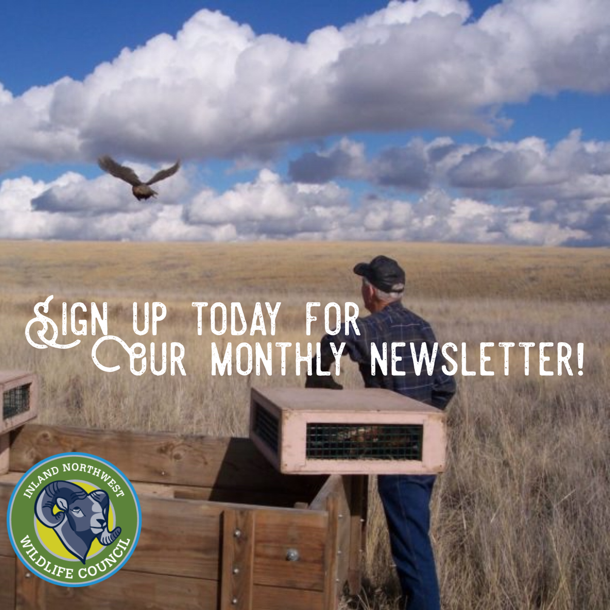 CouncilInland's tweet photo. Did you know we have a newsletter? It comes out every month! Our newsletter keeps you updated on important events and information within our community and organization. Keep a lookout in your email or sign up today at https://t.co/eFoPUAYapW https://t.co/Q8Kf9KFgKy