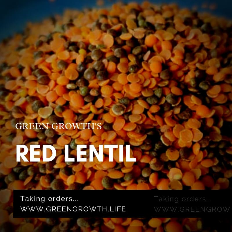 KARESAorg's tweet photo. What choices we have for lentils?
#horsegram #redlentil #blacklentil #pigeonpealentils #splitbeans
.
Buy locally where its possible.
.
https://t.co/mYZgh7yRB0
Taking orders for saturday
.
#local #seasonal #veggies #fruits #rice #beans #grain #gundruk #flours #turmeric #lentils https://t.co/LvY2hiNp5y