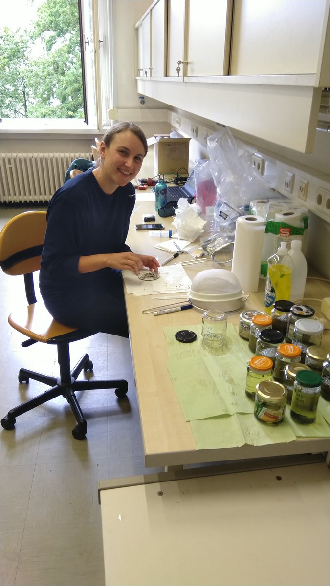 TSchenekar's tweet photo. Our master's student Julia starting her lab work on morphological #dietanalysis of #EurasianOtter. We are excited to see which fish species (and beyond!) she will identify! https://t.co/GPzlrGn8Eh
