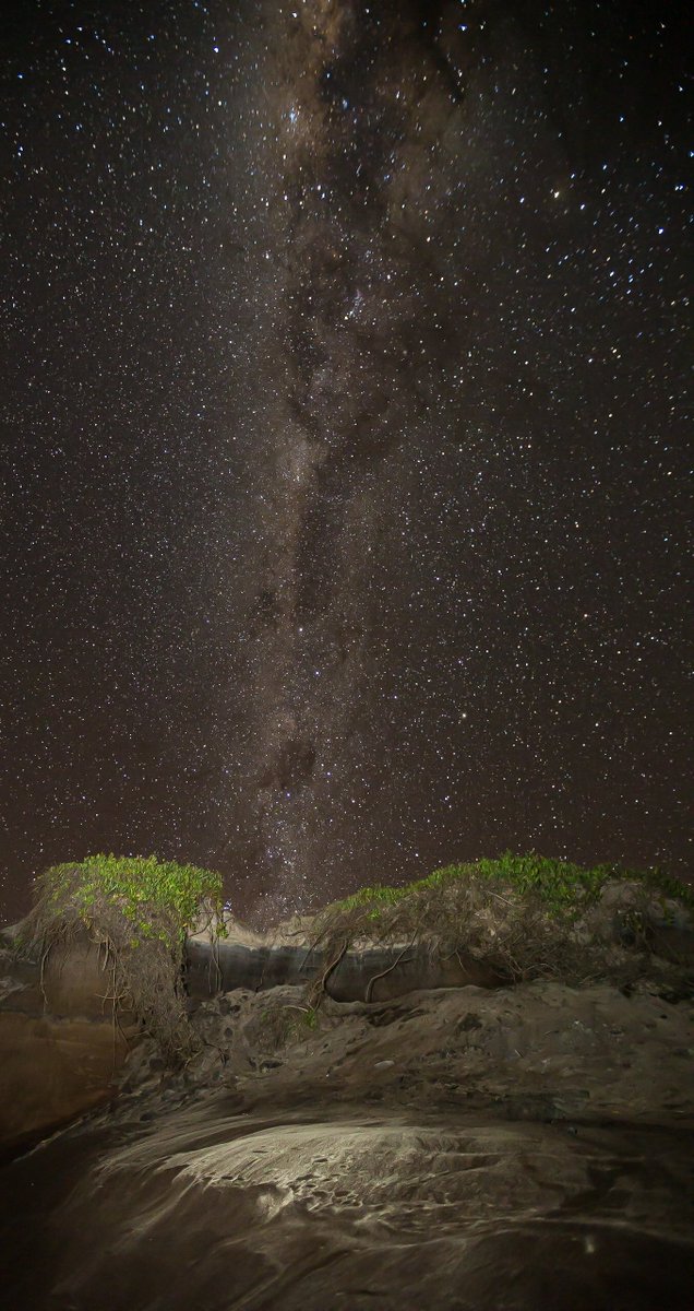 GregWeiler's tweet photo. Some Milky Way action from Bundjalung NP. #Astrophotography #MilkyWay https://t.co/QAmYJLDZGj