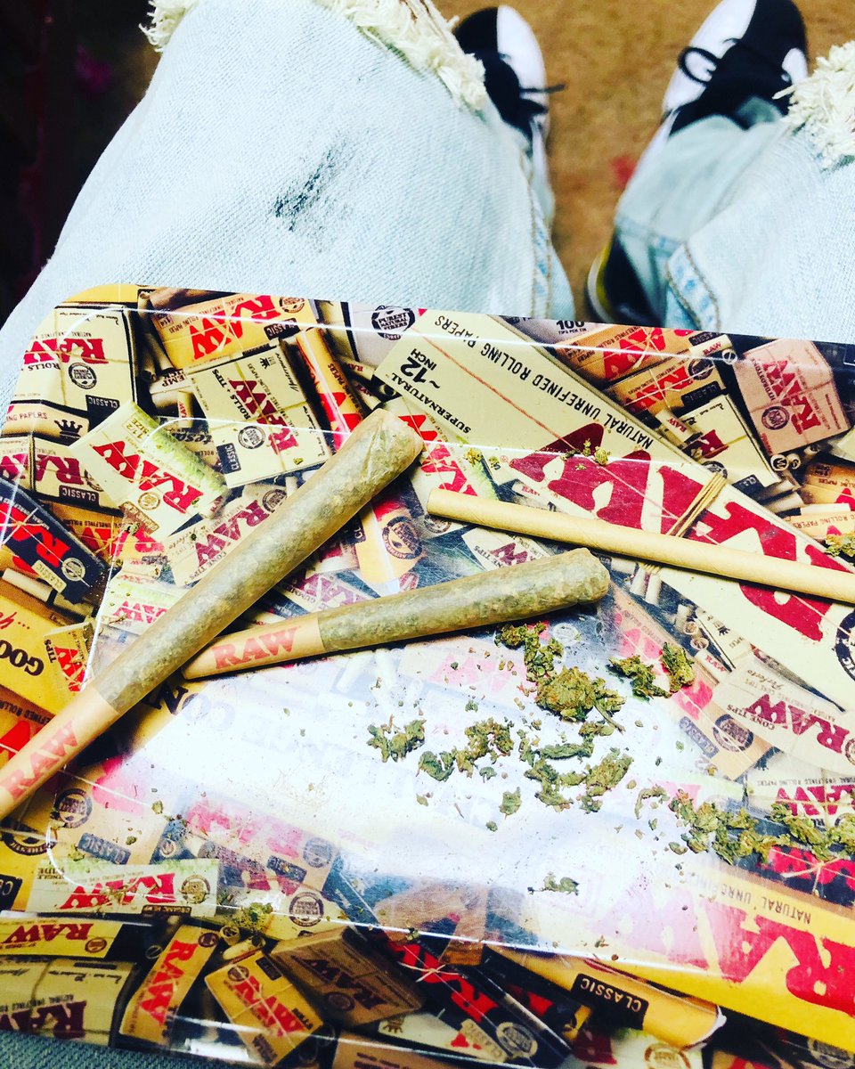 ⁣🦍💎🌹
.⁣
.⁣
.⁣
.⁣
#weedporn #kush #high #smoke #dabs #highlife #cannabis #hightimes #music #dank #poetry #highsociety #ninja #doodle #createexploretakeover #indica #cannabiscommunity #cannabisculture #cbd #comics #thc #sativa #stories #marijuana #life #pikachu #maryjane