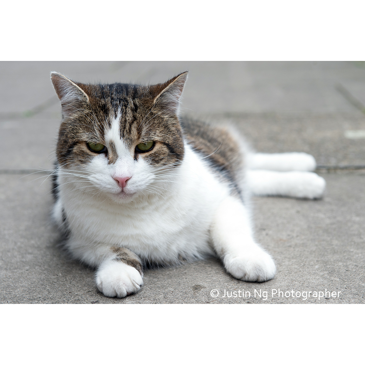 justin_ng's tweet photo. Larry does sultry. Happy Friday folks https://t.co/wAnjRXdClp