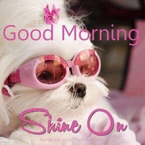 deborah_saffer's tweet photo. Good morning All. I Hope Everyone has a Truly Blessed Friday And Much Unconditional Love Always ππΊπ #fridaymorning #BePresent #blessed #GodIsGood #JOY #KindnessMatters #UseCompassion #Peace #Mindfulness #Laughter https://t.co/naJ61IEP9f