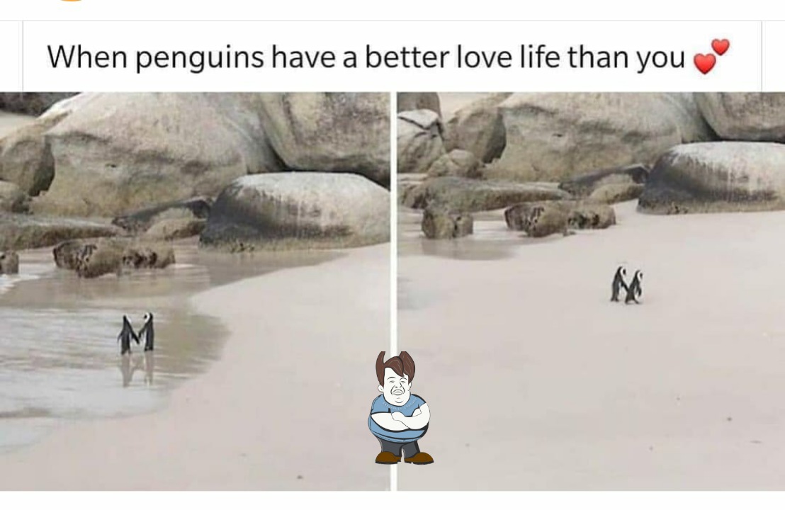Sarcastic_Ch's tweet photo. Sad life😒
#love #LoveStory #LoveWithoutBoundaries #SINGLE #SingleButNotAlone #singlelife #SingleForever #proudsingle #Penguin #penguins #PenguinOnPrime #penguinfirstsingle https://t.co/XOMkFjHz8P