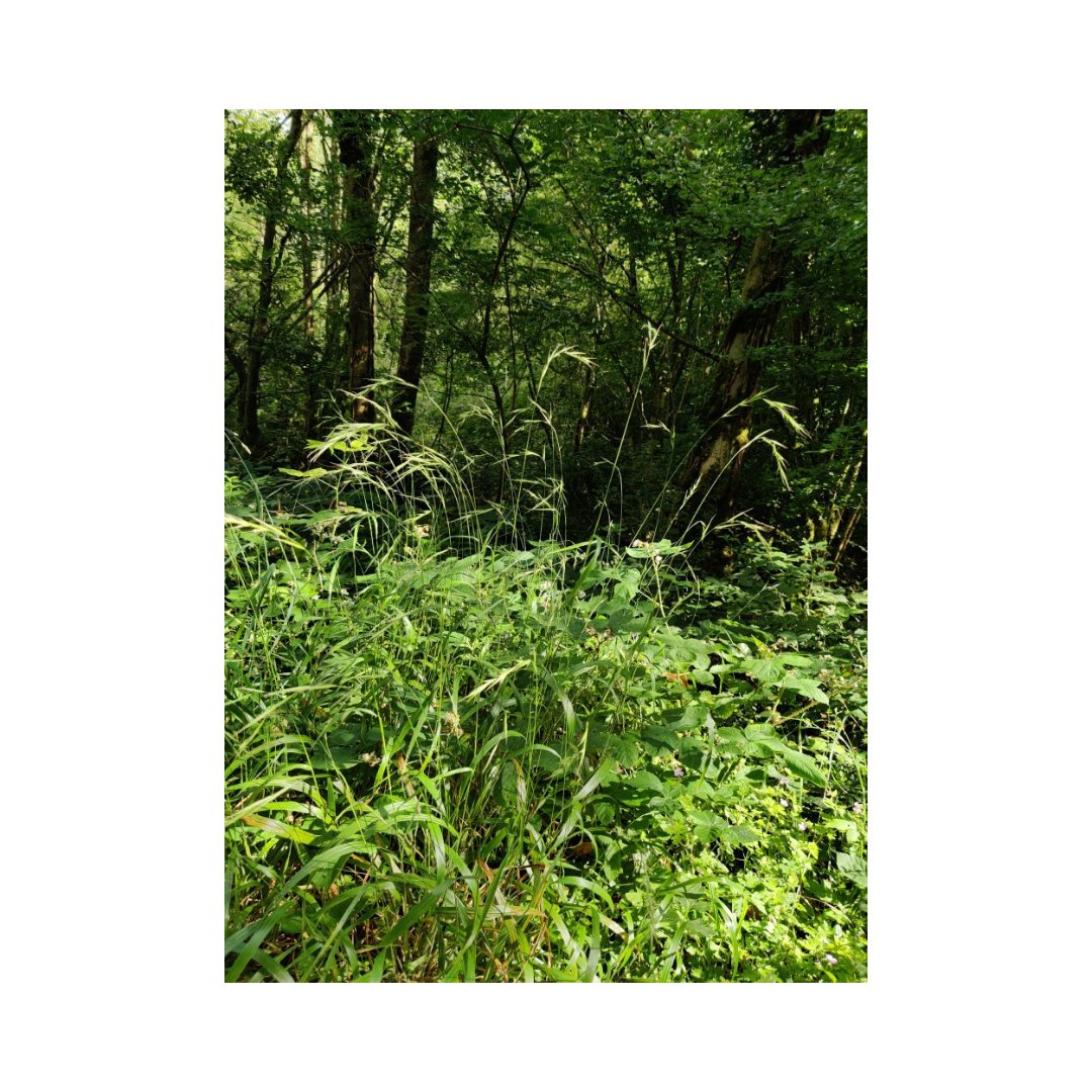 shootthroughit's tweet image. 11 months later. #home