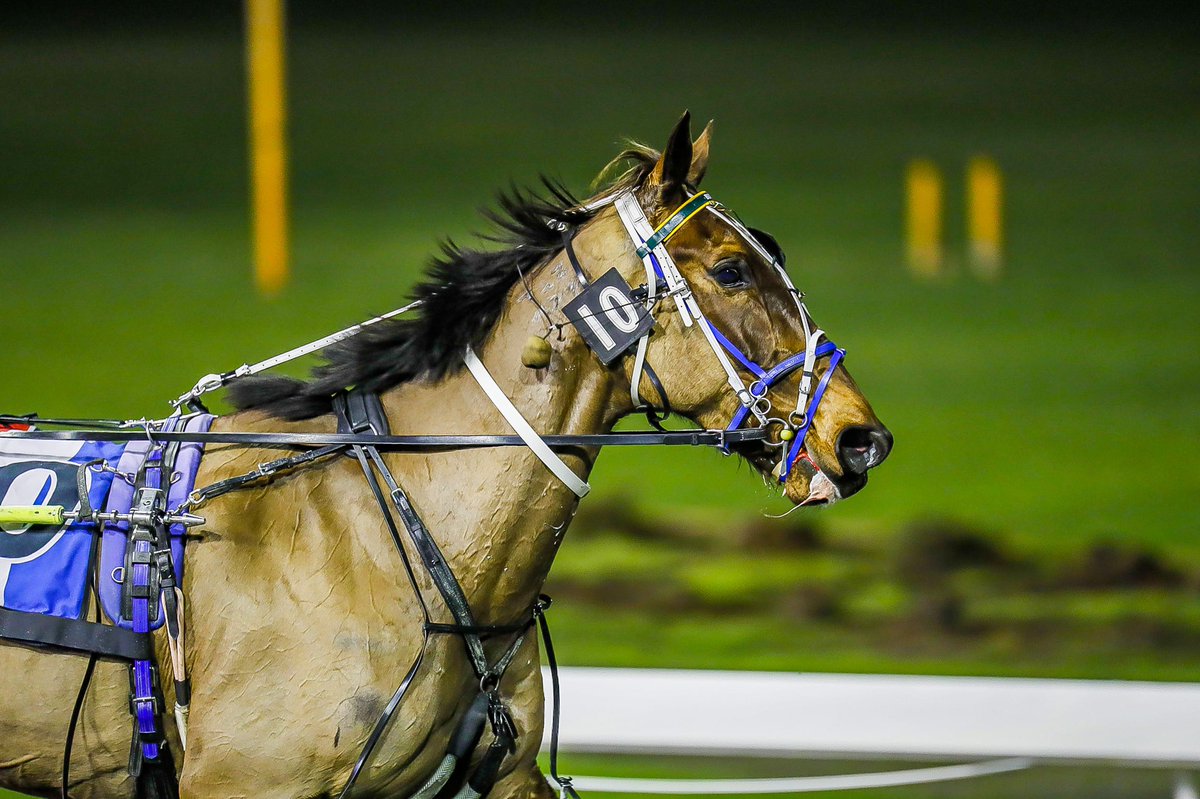 Wa Harness Racing WA BOTRA (@WABOTRA) / Posts / X