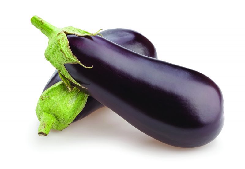 KJM : Eggplant KJD : Broccoli