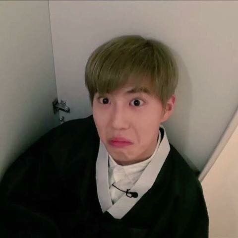 KJM : Eggplant KJD : Broccoli