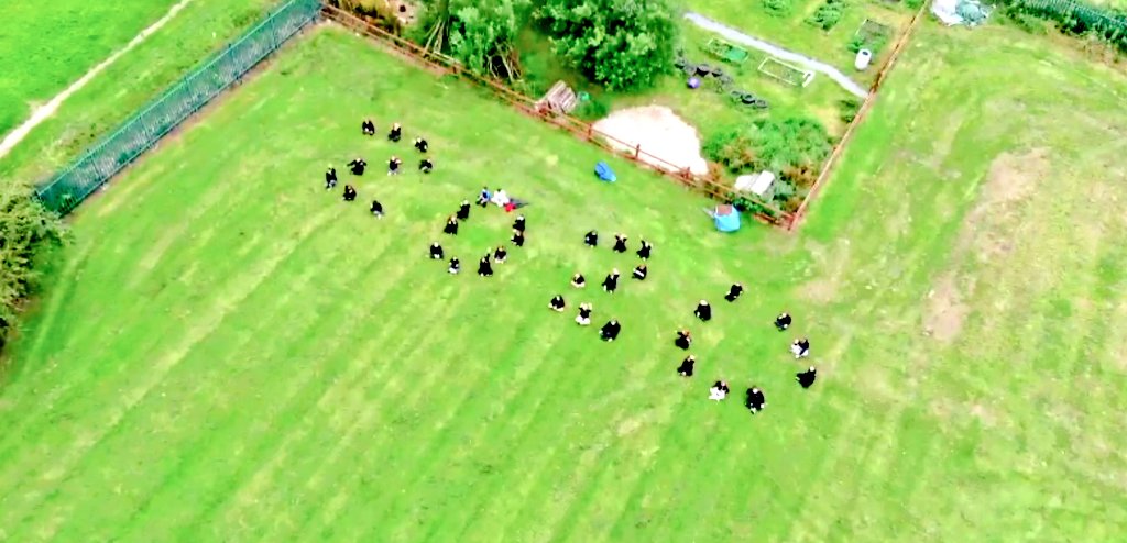 LowAshPrimary1's tweet photo. The last day of the 2019/20 academic year is in full swing! It certainly has been a year to remember! 

#lastday #lowash #PrimaryRocks https://t.co/A1GLUgWTRQ