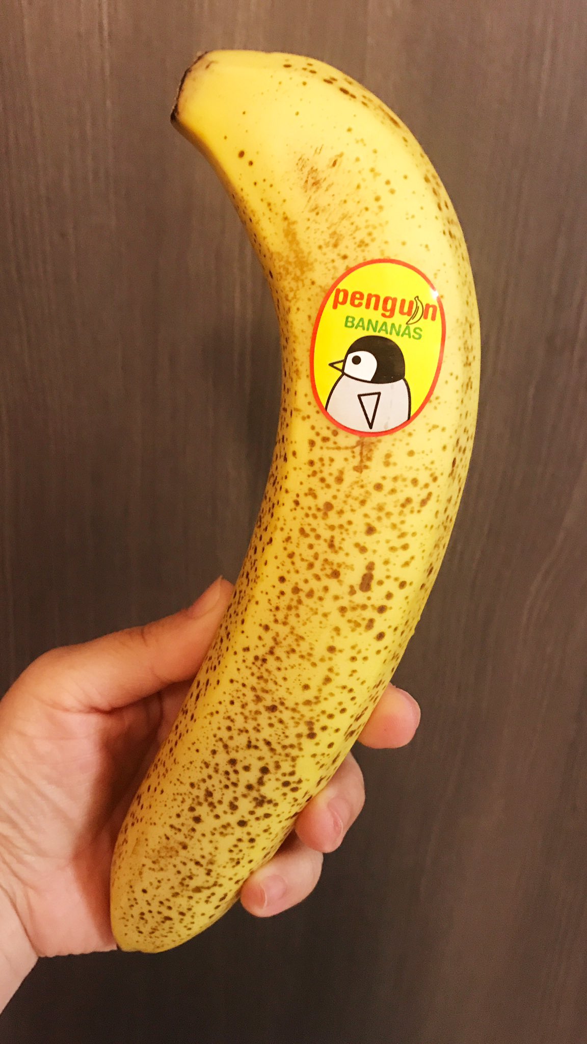 ハクモクレン 箱の中身は最高級バナナ フォロワーさんからのサプライズプレゼント ありがとう 現在 シュガースポット出現待ち ﾟ ﾟ わくわく 夜会 星野源 ミキフルーツ アポ山スーパー800 最高級バナナ T Co E4df16b8tn Twitter