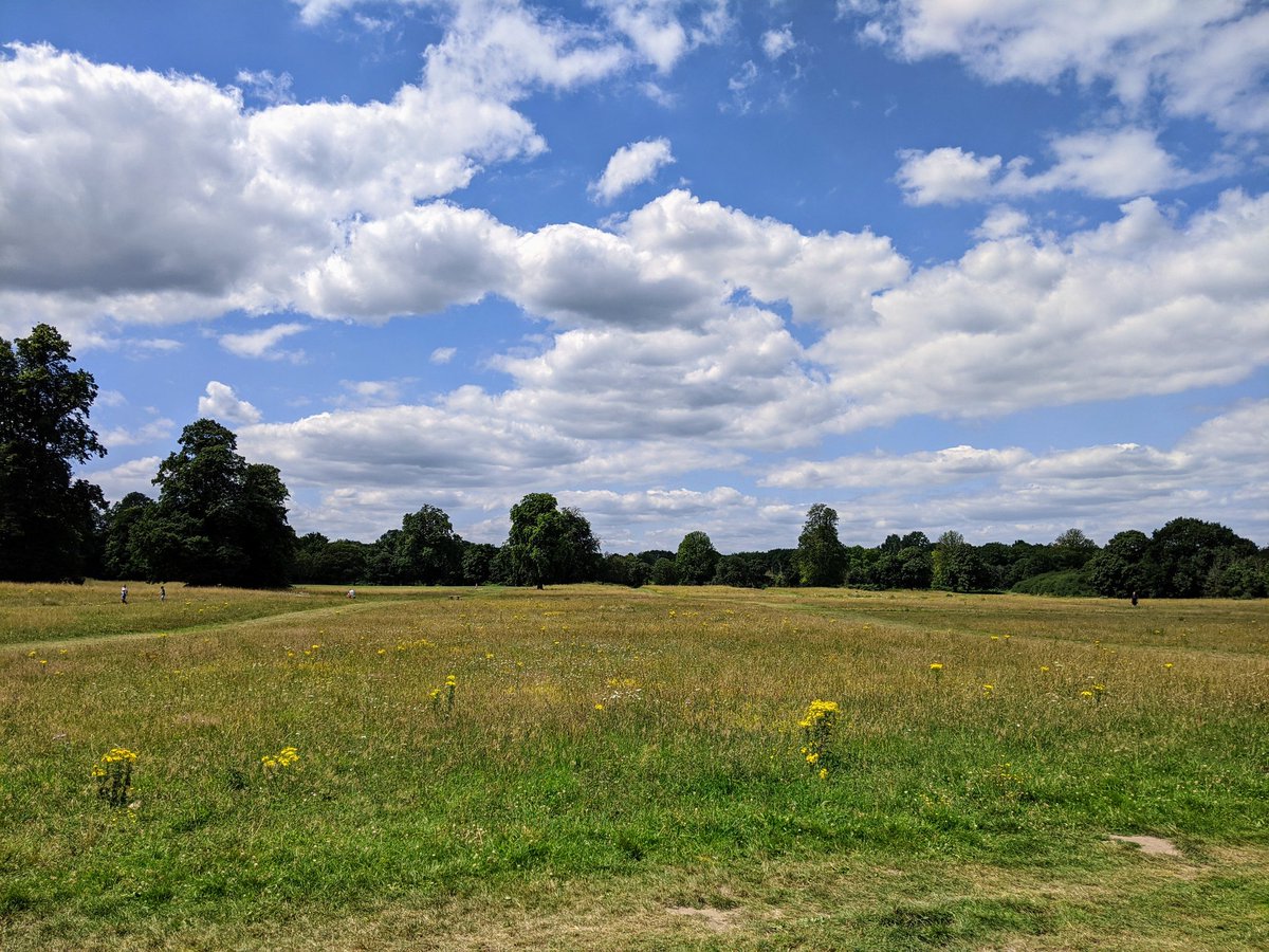 memec88's tweet photo. Stunning day and super quiet #nonsuchpark https://t.co/dqXyuoyJc4