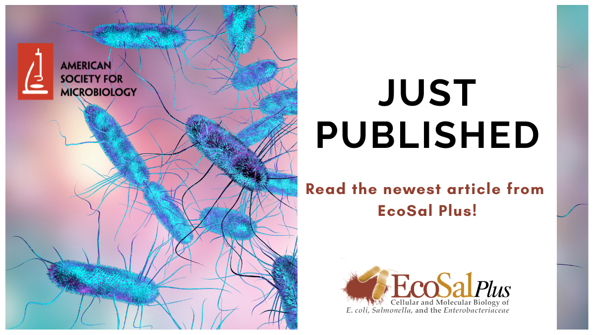 ASMicrobiology's tweet photo. Just published by #EcoSalPlus: “Escherichia albertii Pathogenesis” provides a basis for future studies of an important emerging #enteropathogen in humans and avian species. Learn more when you read this new article today at https://t.co/hTf6Pw2ajw https://t.co/yBXzPURKFJ