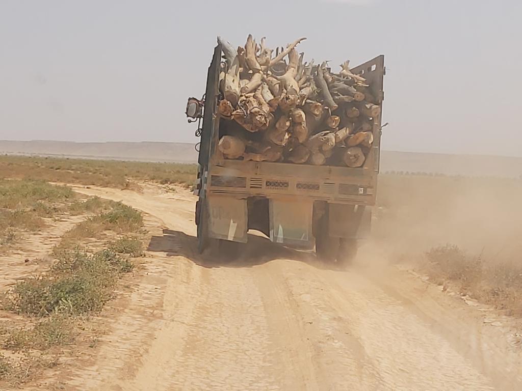 Actionsomalia's tweet photo. We are still cutting trees and destroying our envt. This driver cut down many trees and he will sell them for ONLY 100 USD but the damage caused to the envt is far more expensive and destructive, threatening our future and that of the next generation. https://t.co/p85MVOfx6c