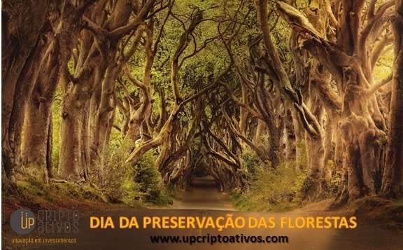upcriptoativos's tweet photo. Descrição da Imagem: Estrada no meio da floresta exuberante.
Hoje é o dia de Preservação das Florestas
Acesse por consumo mais consciente: https://t.co/5dRfjxkRn8
#upcriptoativos #meioambiente #sustentabilidade #consumoconsciente #lixozero #educacaoambiental #preservacao https://t.co/oEhto7251d