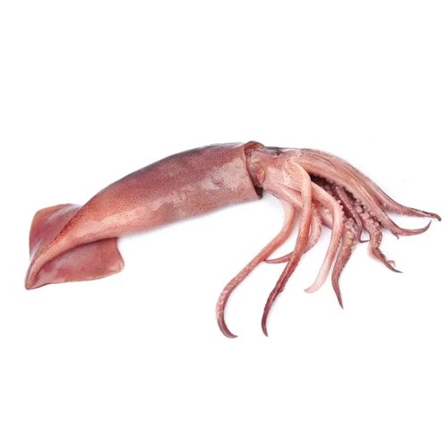 DKS : Parsley KMS : Squids