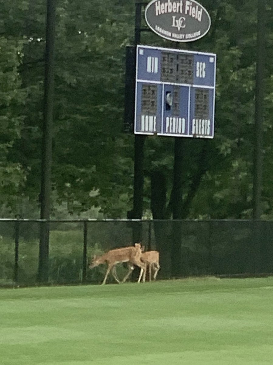 CrewLvc's tweet photo. Everyone wants to see a soccer game @LVCMensSoccer @LVCWS https://t.co/ZgoztpdvGs