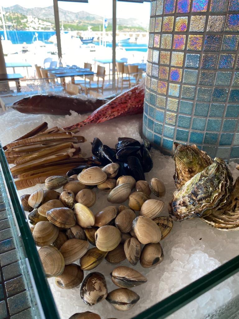 cnllanca's tweet photo. CAP BEA TAKE AWAY
AL @CNLLANCA

https://t.co/surPt0VoUA https://t.co/zBMRaVrbci