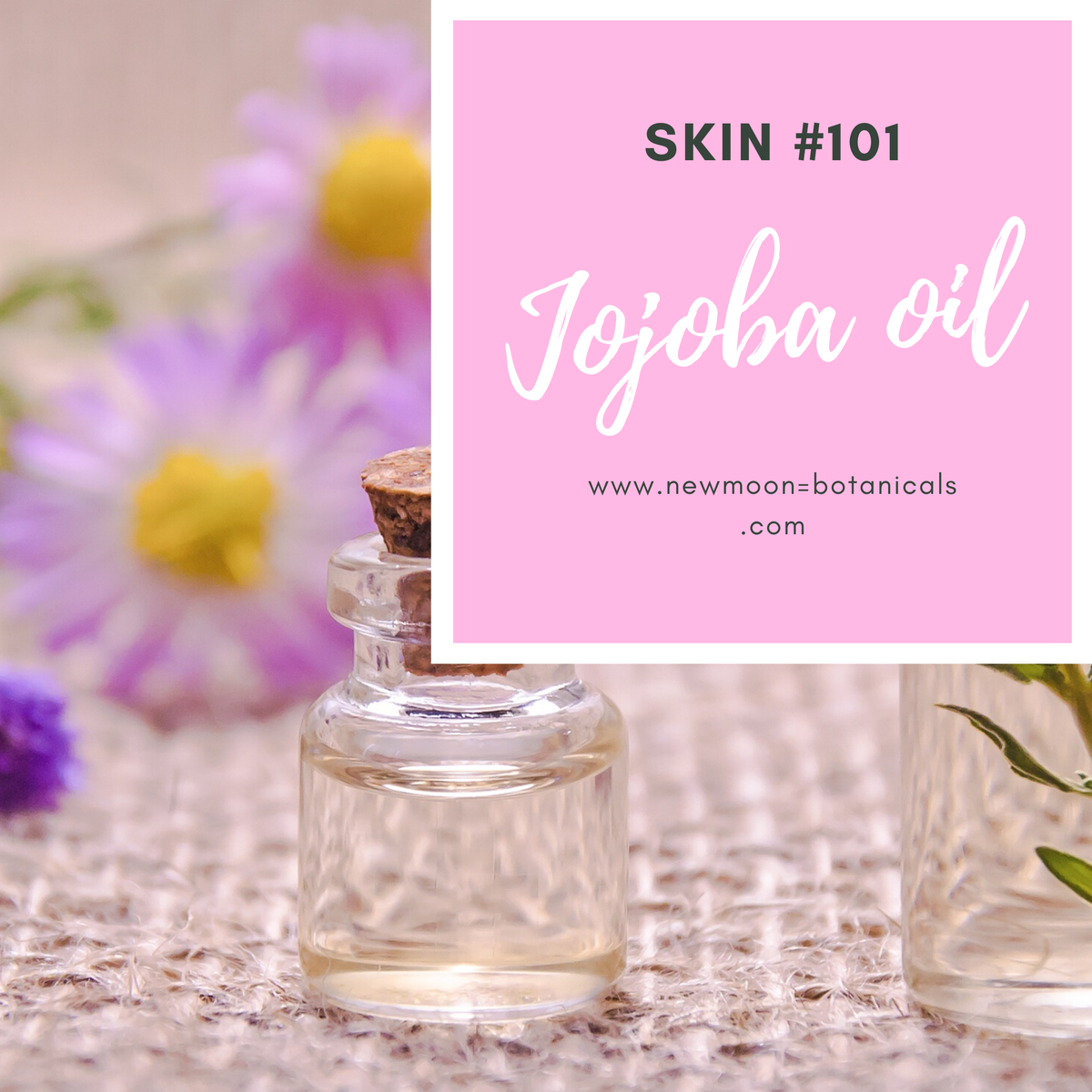 EarthwiseHerbs's tweet photo. Jojoba oil (Simmondsia chinensis) is one of the "must have" skin oils especially if your skin require moisture but don't want to look get that "greasy" look. Jojoba oils absorbs quickly into skin as it has very similar composition to our own skin sebum. https://t.co/UwrXDEetjq