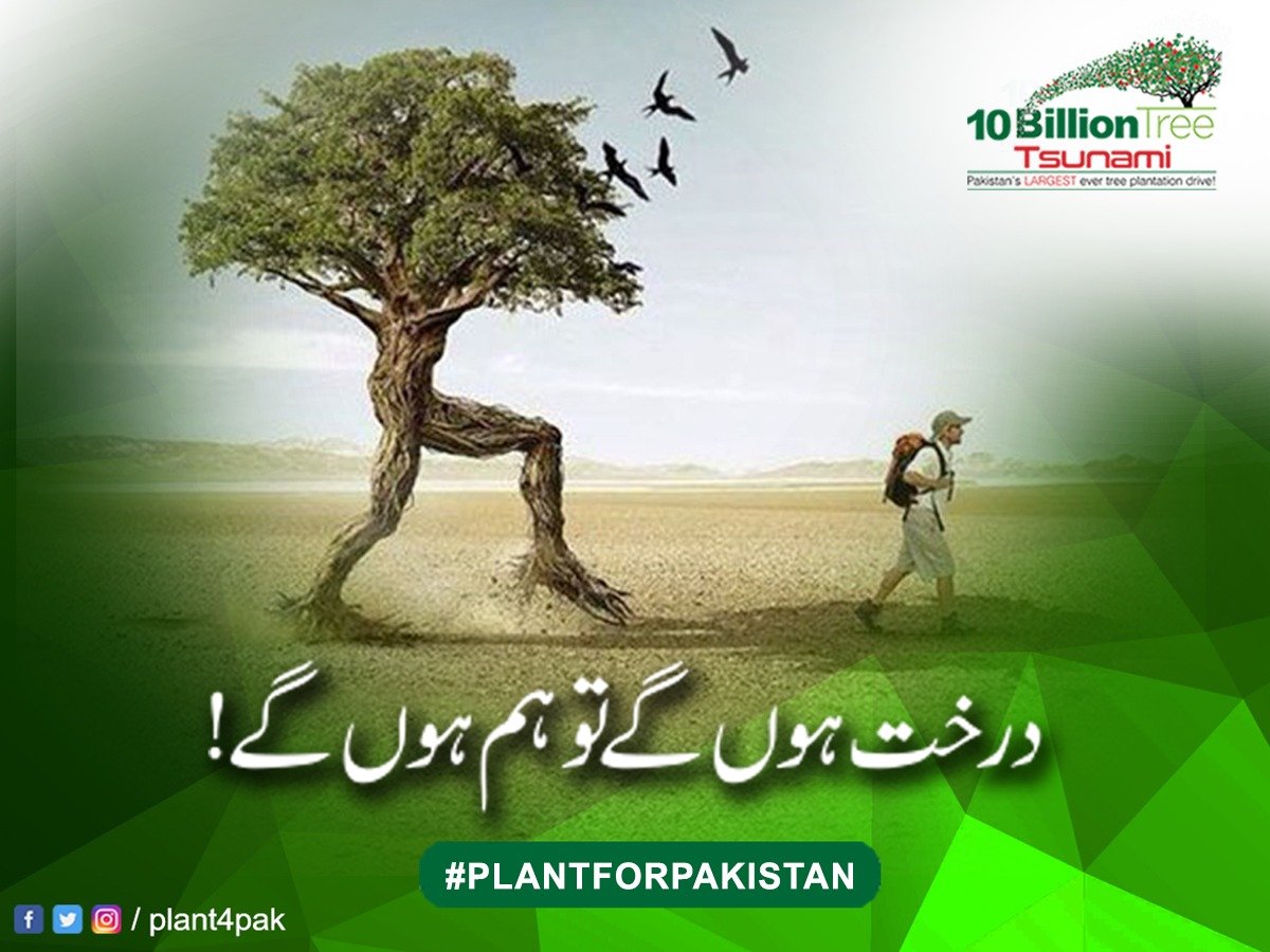 rjsnow49's tweet photo. NO CAPTION NEEDED #PlantForPakistan https://t.co/90QrwBJj9O