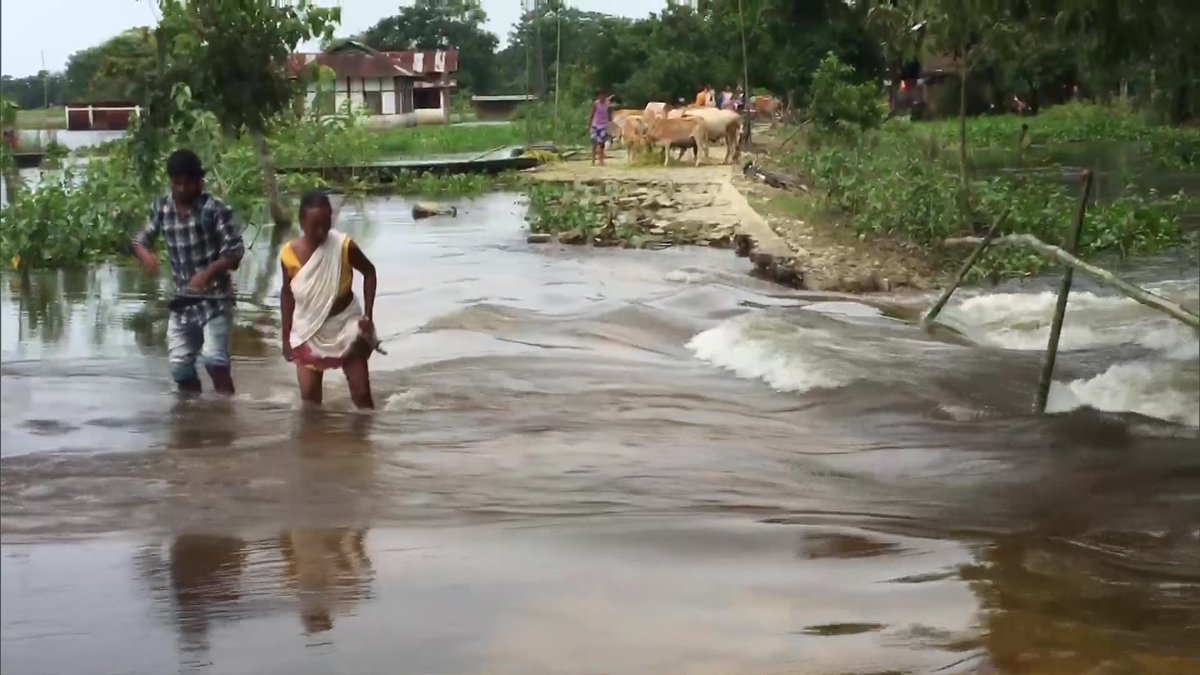 ANI's tweet photo. Assam: Villages in Dibrugarh flooded after the water level of Brahmaputra river rises following incessant rainfall in the region; normal life disrupted. https://t.co/D0T53SkTk3